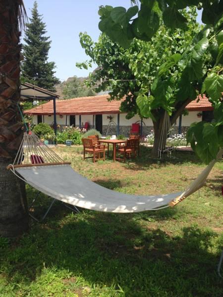 Cirali Friends Pension&Camping Kültér fotó